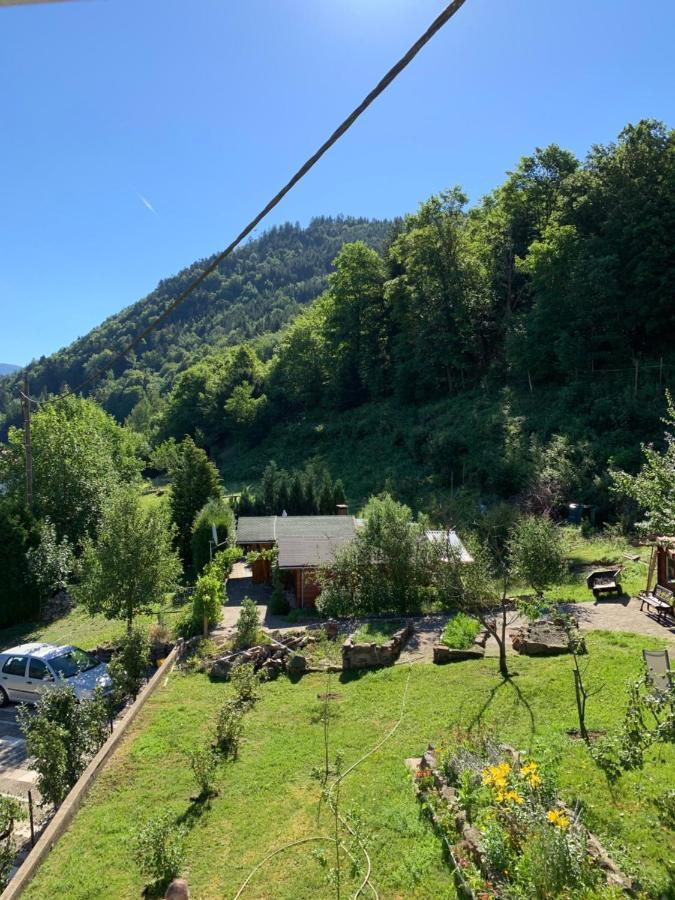 Chalet Rustique, 3Pieces, Jusqu'A 6 Personnes Urbès Kültér fotó